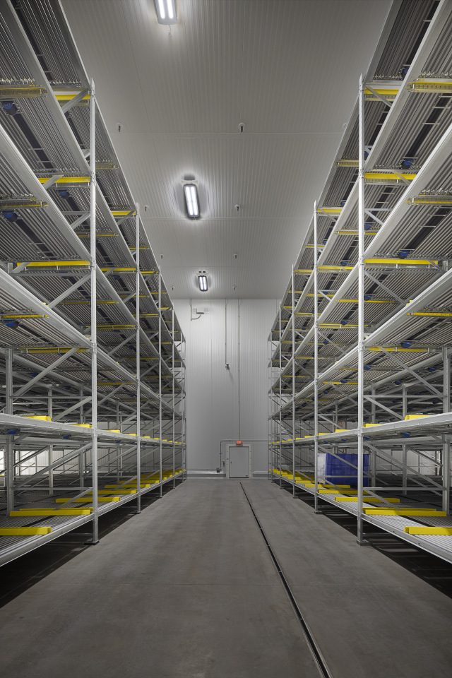 Wide-angle view of a tall industrial storage facility with multiple levels of empty metal shelving on both sides of a central aisle